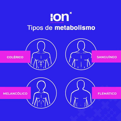 Tipos de metabolismo