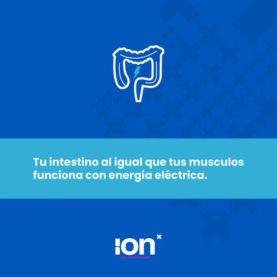 Tu intestino al igual que tus músculos funciona con energía eléctrica