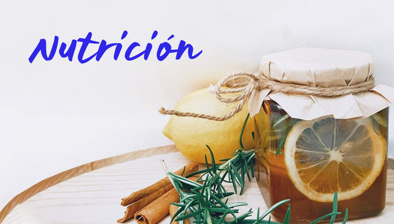 SISTEMA ALIMENTICIO